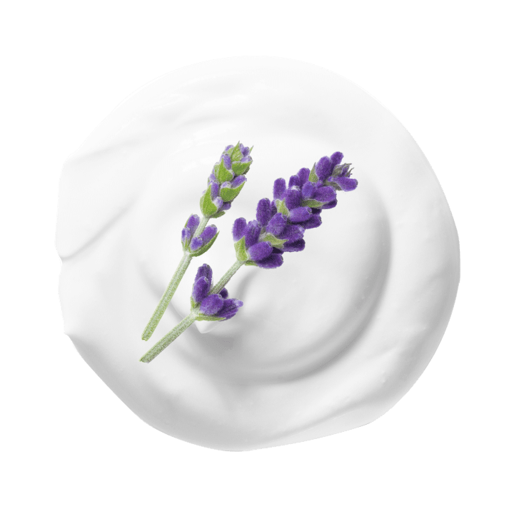 Lavender cold foam